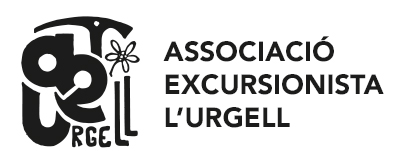 A.E.U.